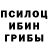 Псилоцибиновые грибы ЛСД Sergey Sherevichenko