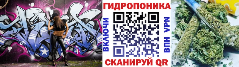 Марихуана семена Купить где Гвардейск